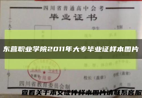 东营职业学院2011年大专毕业证样本图片缩略图