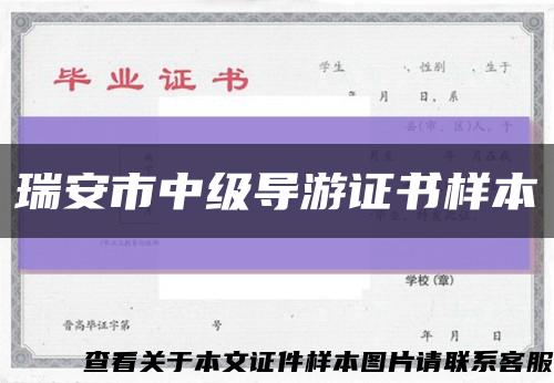 瑞安市中级导游证书样本缩略图