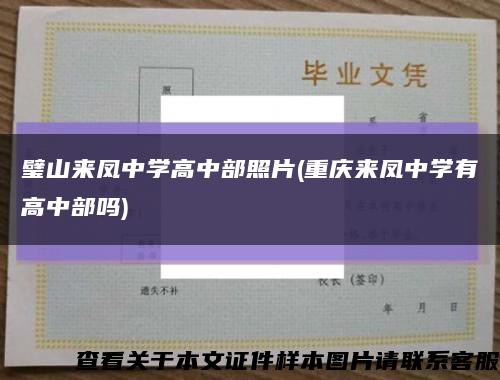 璧山来凤中学高中部照片(重庆来凤中学有高中部吗)缩略图