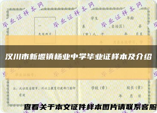 汉川市新堰镇杨业中学毕业证样本及介绍缩略图