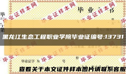 黑龙江生态工程职业学院毕业证编号:13731缩略图