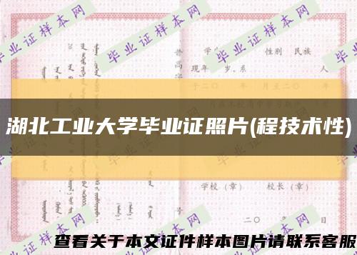 湖北工业大学毕业证照片(程技术性)缩略图