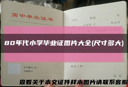 80年代小学毕业证图片大全(尺寸多大)缩略图