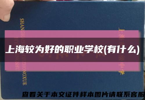 上海较为好的职业学校(有什么)缩略图