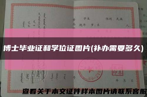 博士毕业证和学位证图片(补办需要多久)缩略图