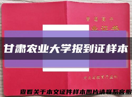 甘肃农业大学报到证样本缩略图