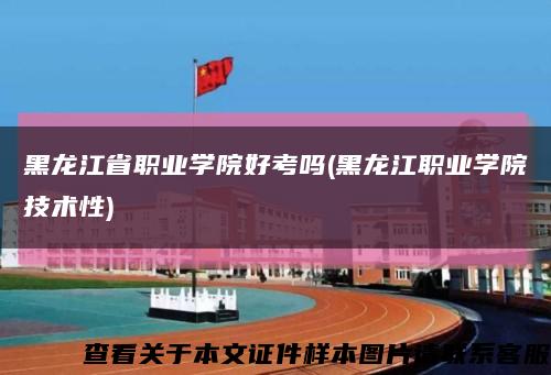 黑龙江省职业学院好考吗(黑龙江职业学院技术性)缩略图