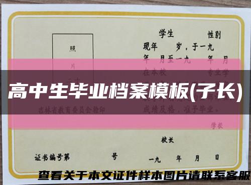 高中生毕业档案模板(子长)缩略图