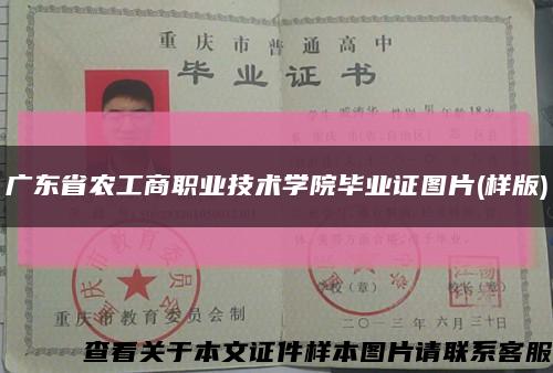 广东省农工商职业技术学院毕业证图片(样版)缩略图