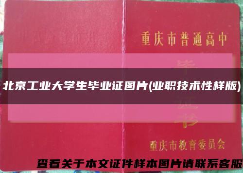 北京工业大学生毕业证图片(业职技术性样版)缩略图