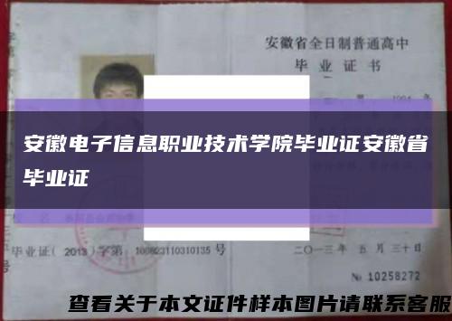 安徽电子信息职业技术学院毕业证安徽省毕业证缩略图