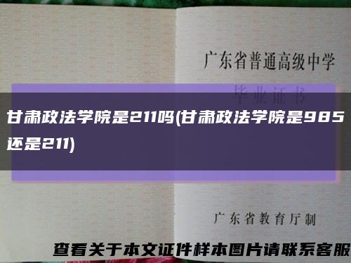 甘肃政法学院是211吗(甘肃政法学院是985还是211)缩略图