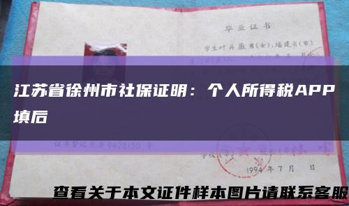 江苏省徐州市社保证明：个人所得税APP填后缩略图