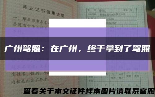 广州驾照：在广州，终于拿到了驾照缩略图