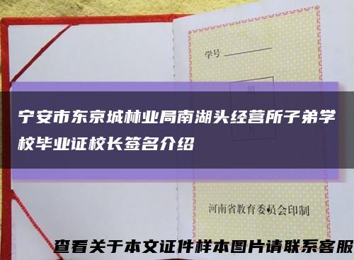 宁安市东京城林业局南湖头经营所子弟学校毕业证校长签名介绍缩略图