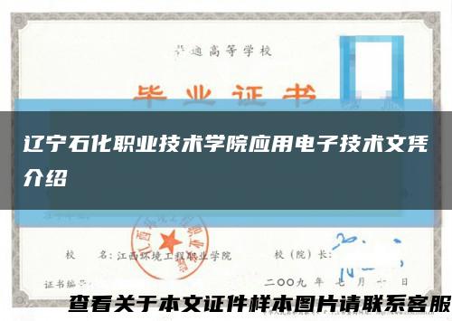 辽宁石化职业技术学院应用电子技术文凭介绍缩略图