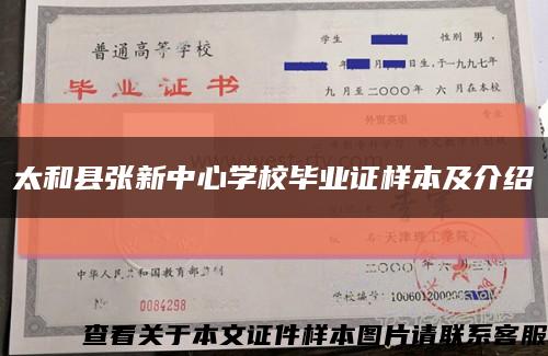 太和县张新中心学校毕业证样本及介绍缩略图