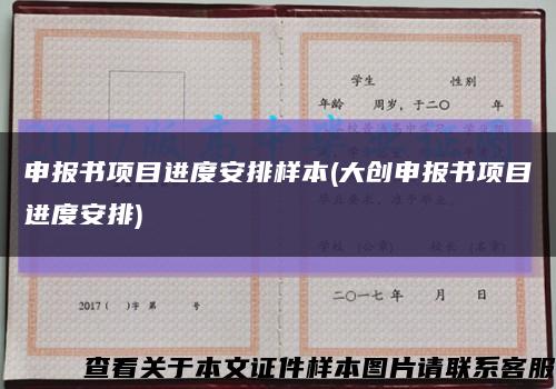 申报书项目进度安排样本(大创申报书项目进度安排)缩略图
