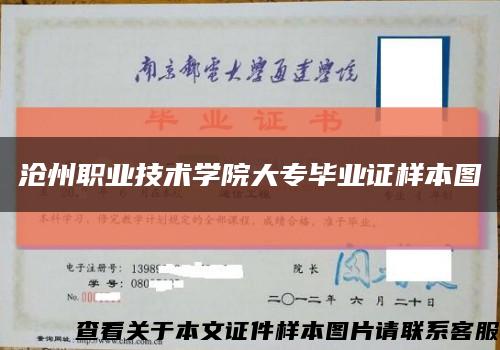 沧州职业技术学院大专毕业证样本图缩略图