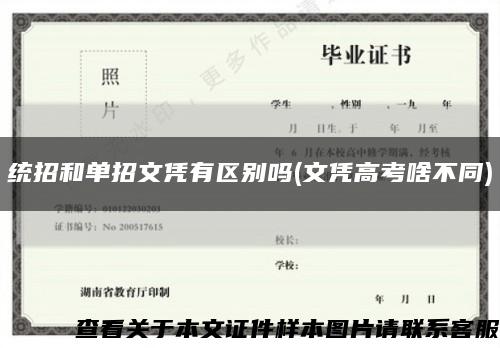 统招和单招文凭有区别吗(文凭高考啥不同)缩略图
