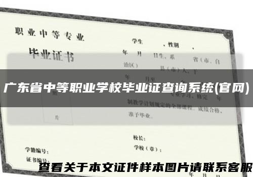 广东省中等职业学校毕业证查询系统(官网)缩略图