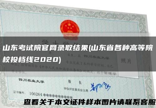 山东考试院官网录取结果(山东省各种高等院校投档线2020)缩略图