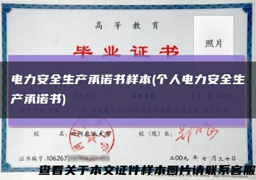 电力安全生产承诺书样本(个人电力安全生产承诺书)缩略图