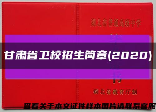 甘肃省卫校招生简章(2020)缩略图