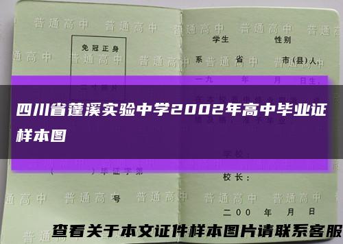 四川省蓬溪实验中学2002年高中毕业证样本图缩略图