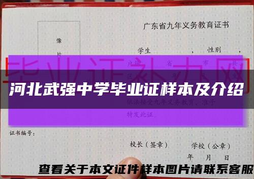 河北武强中学毕业证样本及介绍缩略图