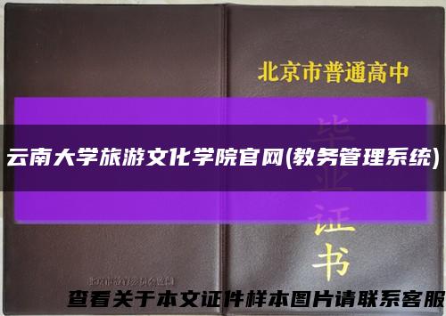 云南大学旅游文化学院官网(教务管理系统)缩略图