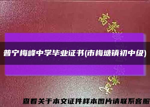 普宁梅峰中学毕业证书(市梅塘镇初中级)缩略图