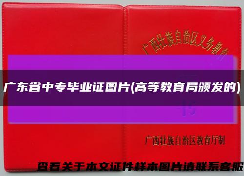 广东省中专毕业证图片(高等教育局颁发的)缩略图