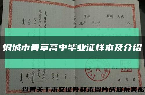 桐城市青草高中毕业证样本及介绍缩略图