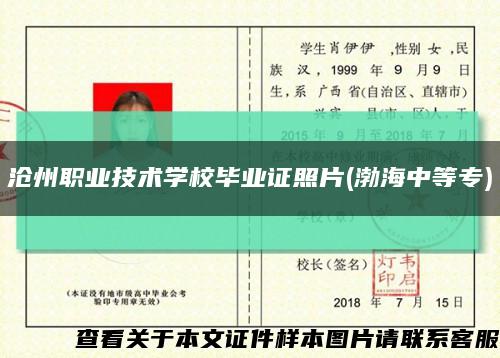 沧州职业技术学校毕业证照片(渤海中等专)缩略图