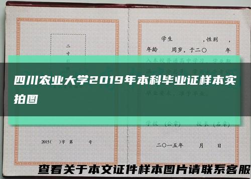 四川农业大学2019年本科毕业证样本实拍图缩略图