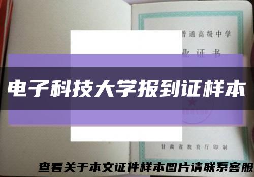 电子科技大学报到证样本缩略图