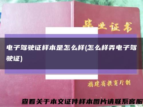 电子驾驶证样本是怎么样(怎么样弄电子驾驶证)缩略图