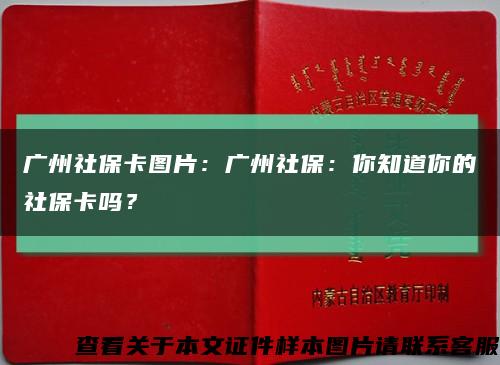 广州社保卡图片：广州社保：你知道你的社保卡吗？缩略图