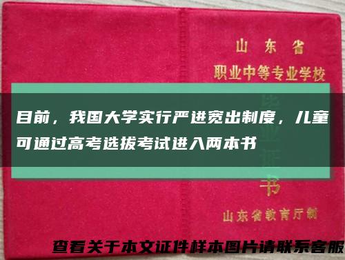 目前，我国大学实行严进宽出制度，儿童可通过高考选拔考试进入两本书缩略图