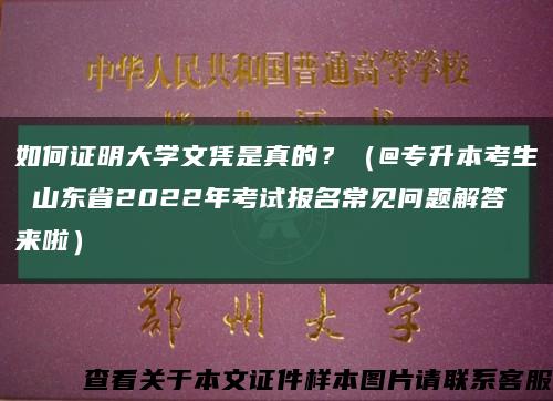 如何证明大学文凭是真的？（@专升本考生 山东省2022年考试报名常见问题解答来啦）缩略图