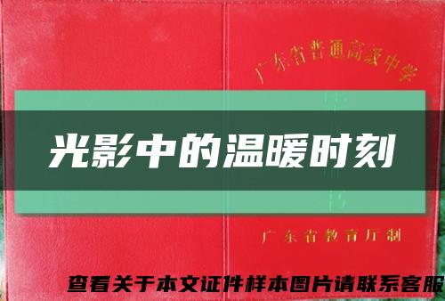 光影中的温暖时刻缩略图