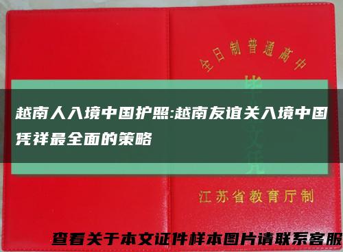 越南人入境中国护照:越南友谊关入境中国凭祥最全面的策略缩略图