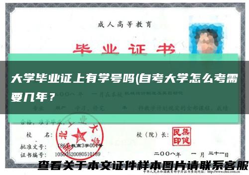 大学毕业证上有学号吗(自考大学怎么考需要几年？缩略图