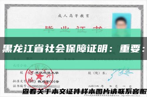黑龙江省社会保障证明：重要：缩略图
