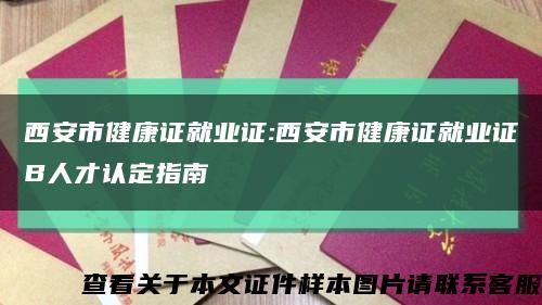 西安市健康证就业证:西安市健康证就业证B人才认定指南缩略图