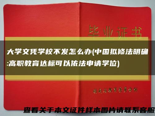 大学文凭学校不发怎么办(中国拟修法明确:高职教育达标可以依法申请学位)缩略图