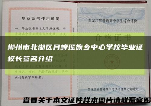 郴州市北湖区月峰瑶族乡中心学校毕业证校长签名介绍缩略图