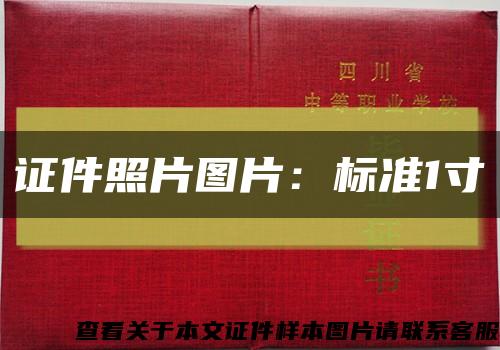 证件照片图片：标准1寸缩略图