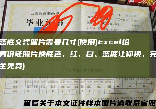 蓝底文凭照片需要几寸(使用)Excel给身份证照片换底色，红、白、蓝底让你换，完全免费)缩略图